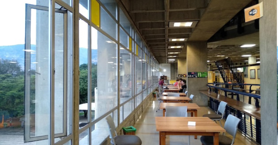 School Window Film