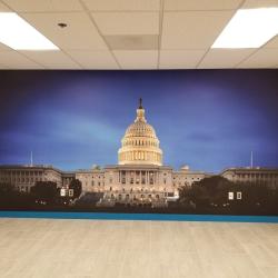 Washington DC Capitol Building Mural: Atlantic Sun Control's Office Mural Services Displaying Majestic Washington DC Capitol Imagery